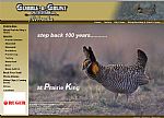 Prairie King's Page